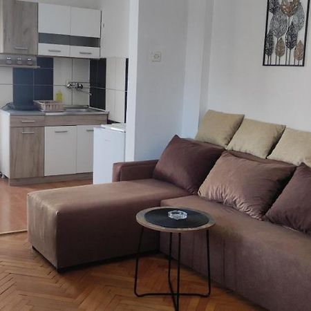Apartment Mina Сокобаня Экстерьер фото
