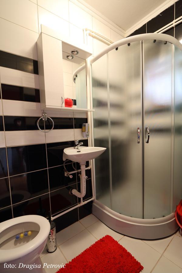 Apartment Mina Сокобаня Экстерьер фото